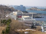 SANY0010.jpg